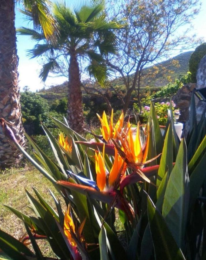 Ma Petite Folie Tenerife Santa Cruz de Tenerife Exterior foto