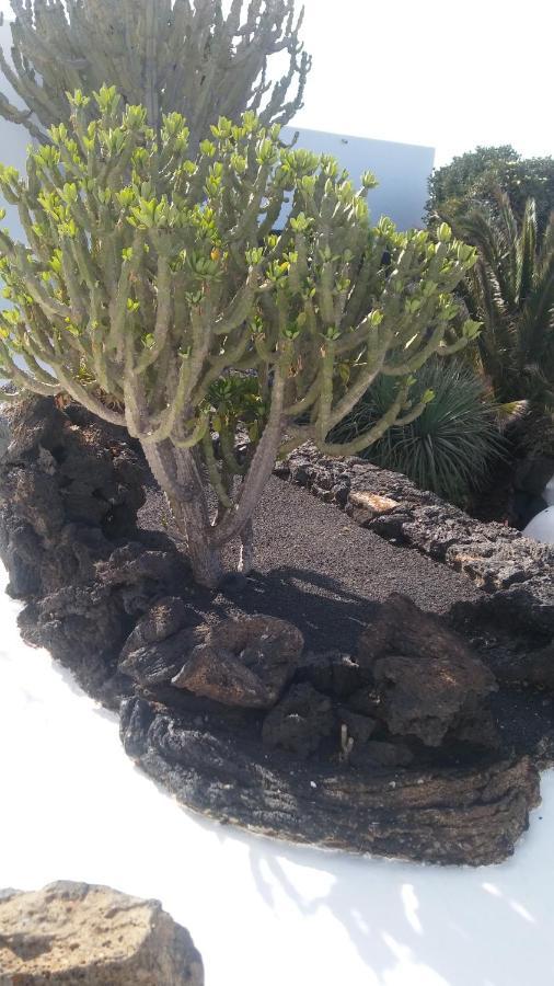 Ma Petite Folie Tenerife Santa Cruz de Tenerife Exterior foto